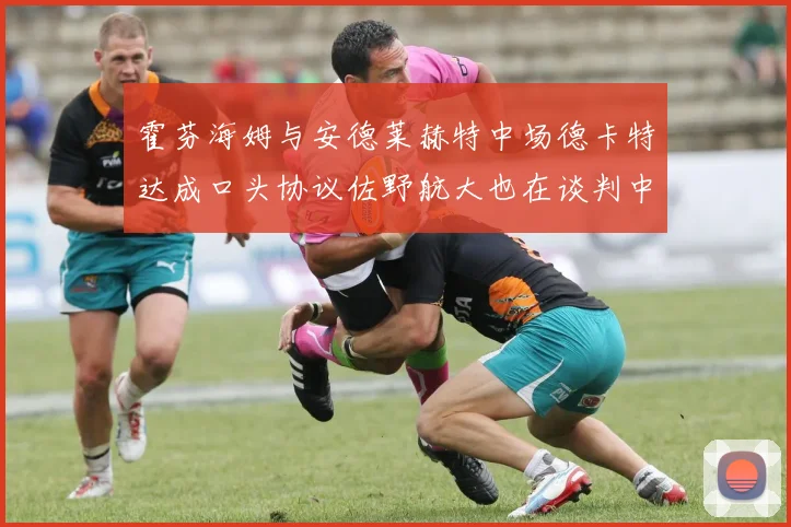 霍芬海姆与安德莱赫特中场德卡特达成口头协议佐野航大也在谈判中